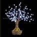 Bonsai Tree Light 01