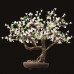 Bonsai Tree Light 06