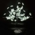 Flower Light 01