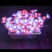 Flower Light 07