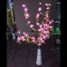 Flower Light 08