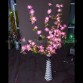 Previous