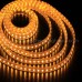 LED Strip Light 01