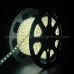 LED Strip Light 04