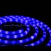 Neon Light 2 01