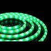 Neon Light 2 05