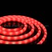 Neon Light 2 04