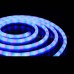 Neon Light 2 04