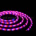 Neon Light 2 04