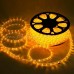 Neon Light Outside 02