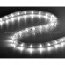 Neon Light Outside 03