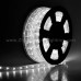 Neon Light Outside 03