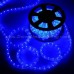 Neon Light Outside 05