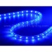 Neon Light Outside 05