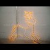2D Motif Light 35