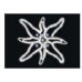 2d christmas star motif light