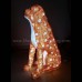 3d christmas lion motif light 01
